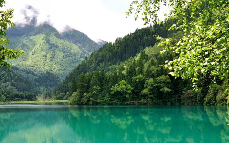 高标准智能